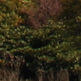 展望台からの景色